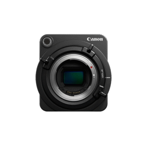 Aenean non pellentesque mauris