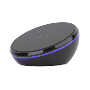 Suspendisse vehicula at dui